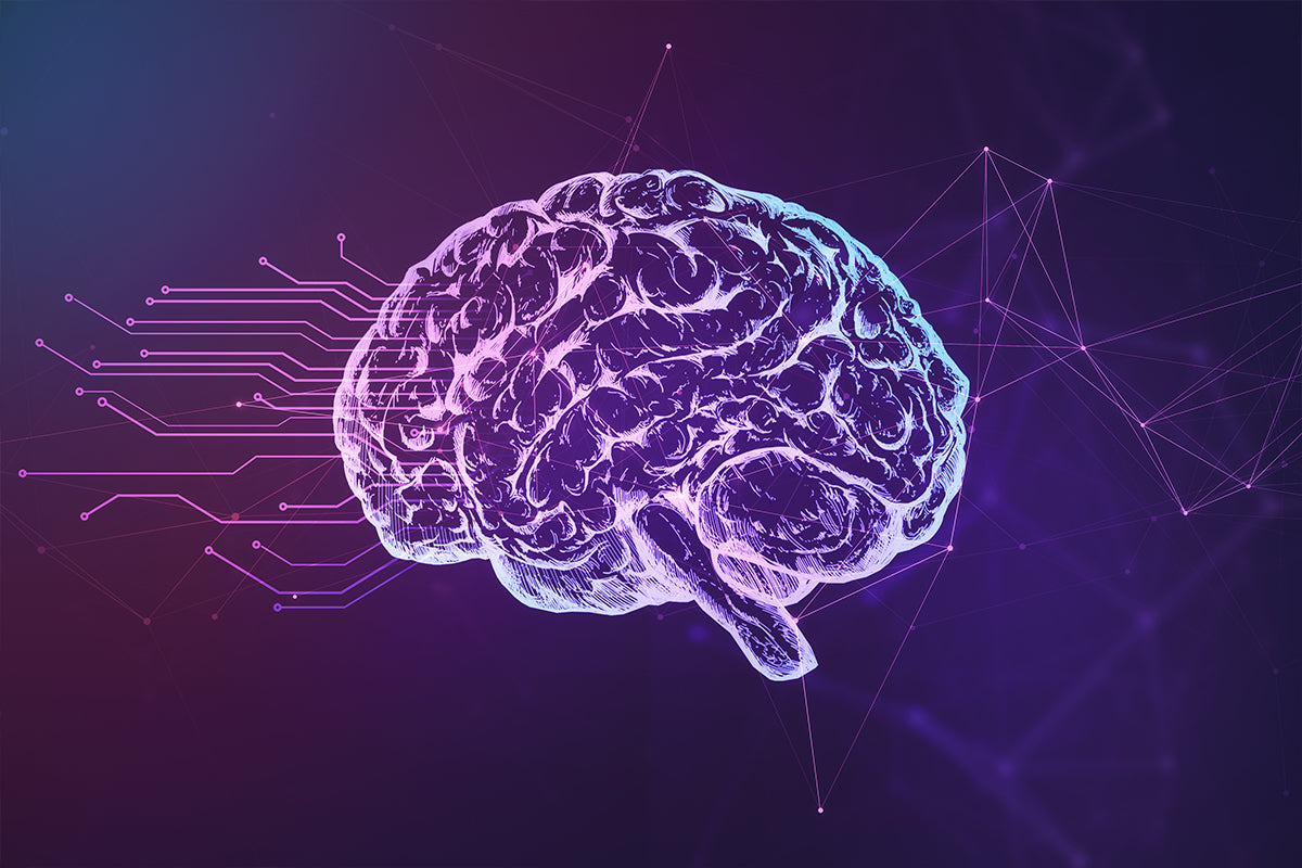 Brainwaves-What-You-Need-To-Know-Cognitive-Solutions-Learning-Center.jpg?v=1677148981